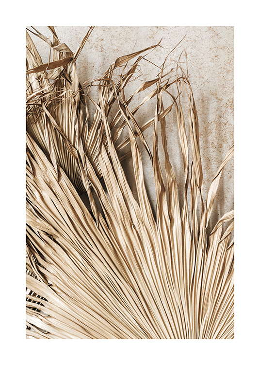 – Photograph of dried, beige palm leaves with pleats in them, against a stone background