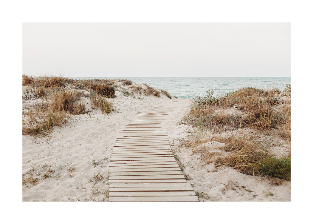  – Photograph of sand dunes with grass surrounding a wooden walkway and the ocean in the background