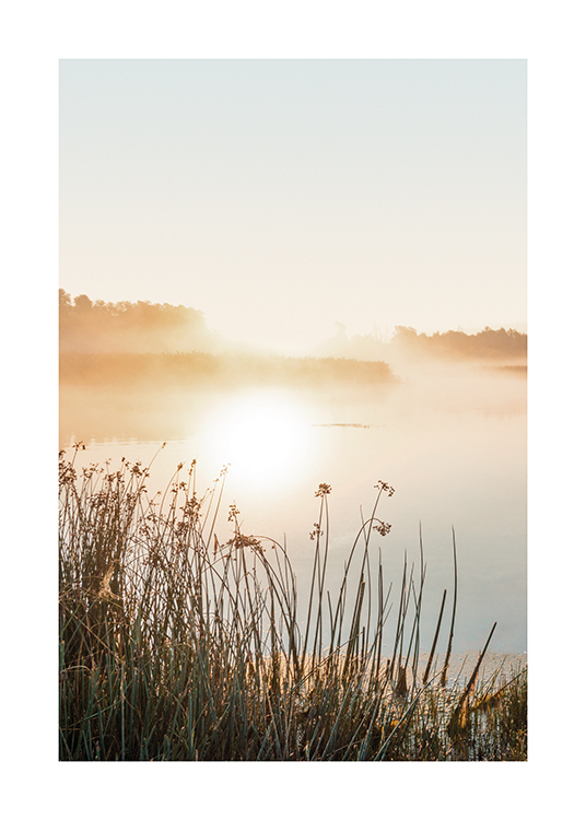 – Photograph of a foggy, still lake with grass in the foreground and the sun and trees in the background