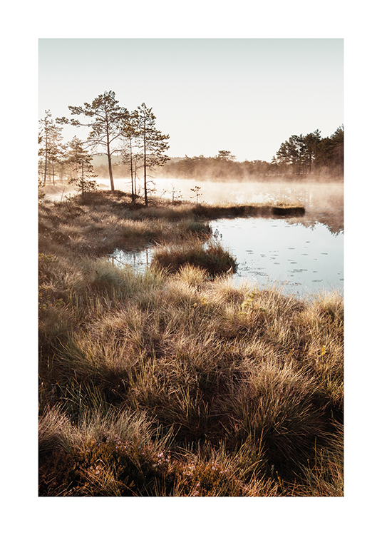  – Photograph of grass surrounding a small pond with trees and fog in the background
