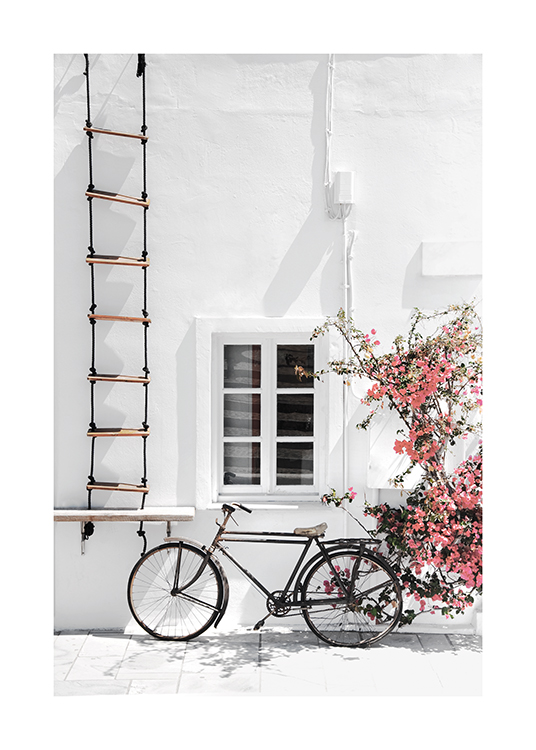  – Photograph of a white house with a bike, ladder and pink flowers in front of it