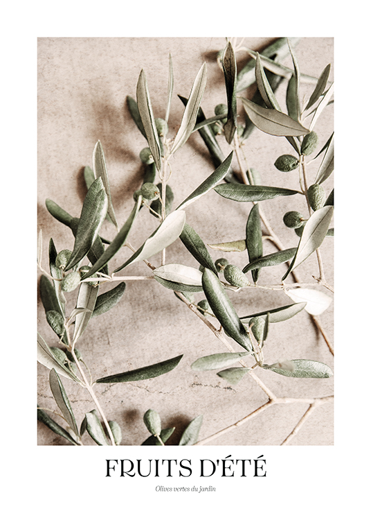  – Photograph of green olives on olive branches against a stone background in beige