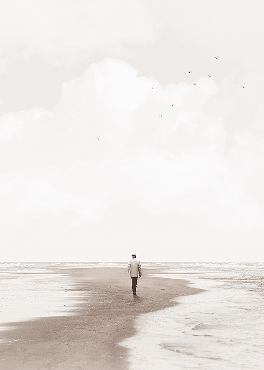  – Photograph of a person taking a walk on a beach with birds in the sky above