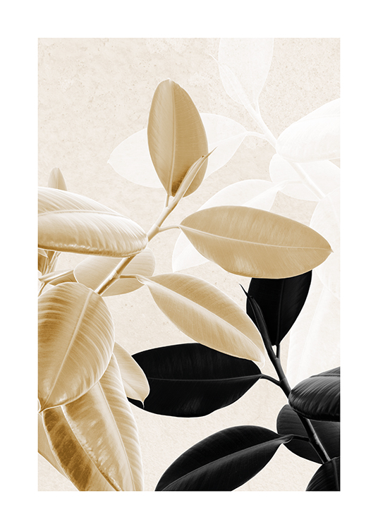  – Photograph of black and gold rubber plants with silhouettes of light leaves in the background