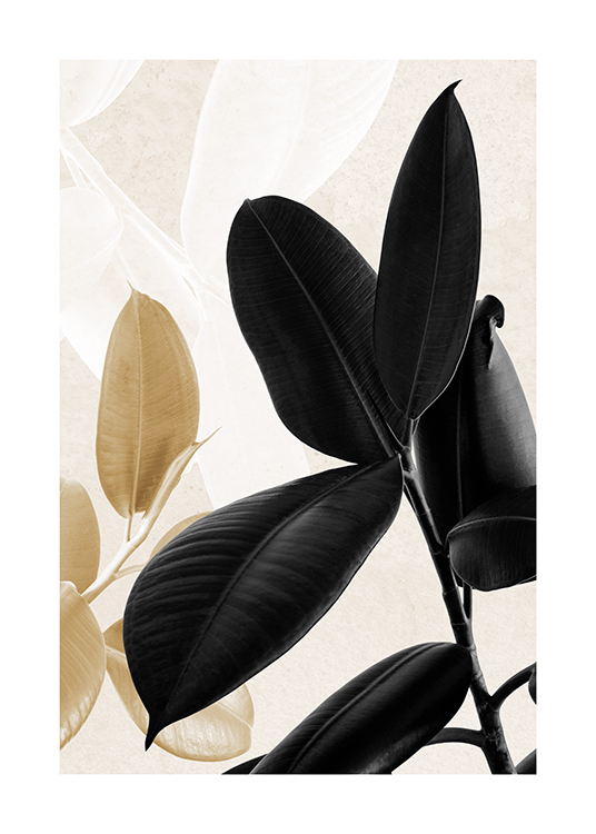  – Photograph of a pair of rubber plants in gold and black, with light leaf silhouettes in the background