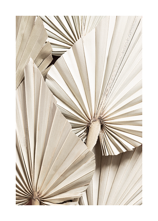  – An image of pleated beige palms