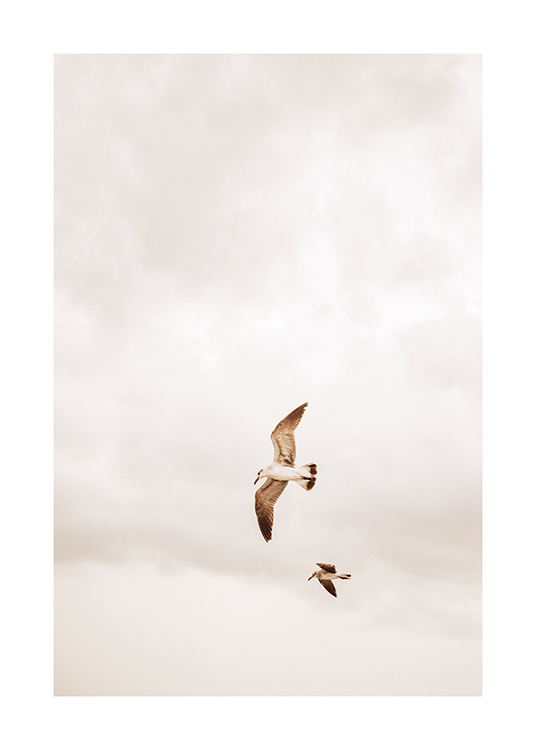  – An image of two bird flying in a cloudy sky
