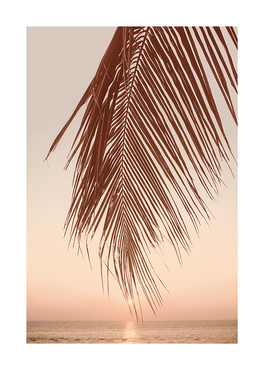  – An image of a palm leaf on a beach at sunset