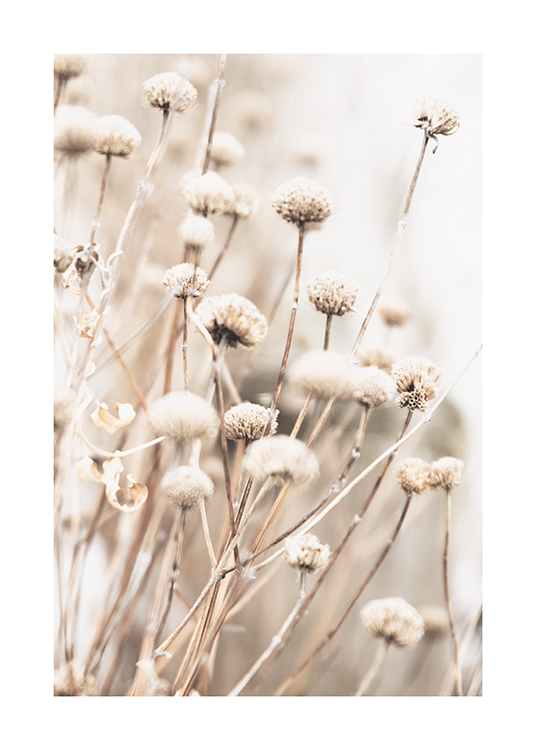  – Photograph of a bundle of dried small flowers in beige with a blurry background
