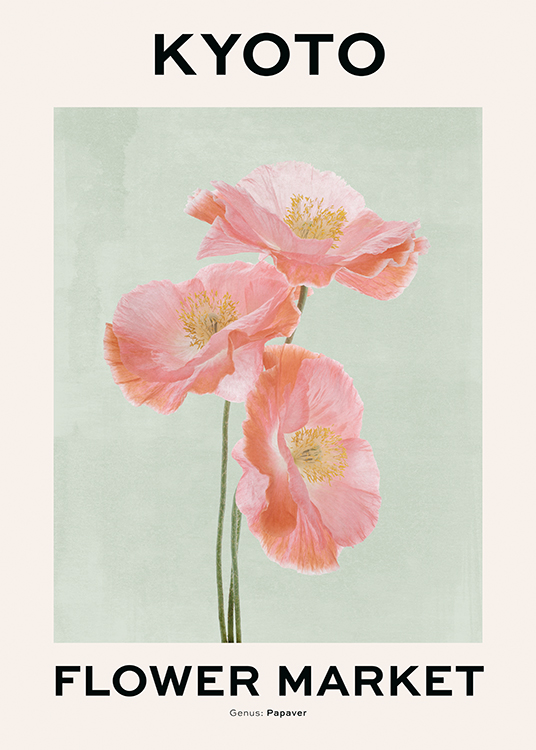  – Illustration of poppy flowers in orange and pink on a green and beige background