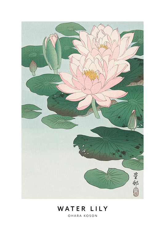  – Illustration of pink water lilies and green leaves with text at the bottom