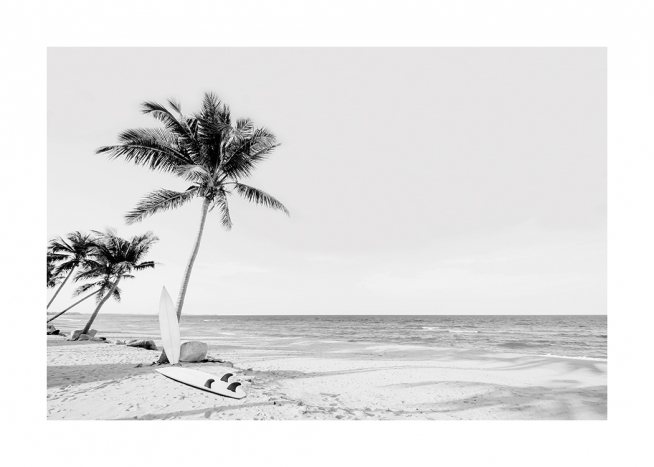  – Photograph in black and white of palm trees and surfboards on a beach with the ocean in the background