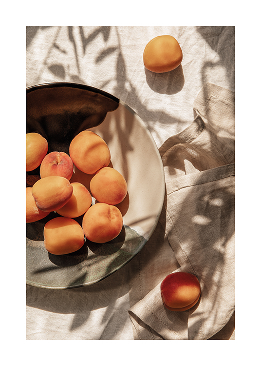 Apricots In Sunlight Poster