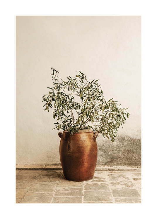  – An olive branch simply placed in a vase