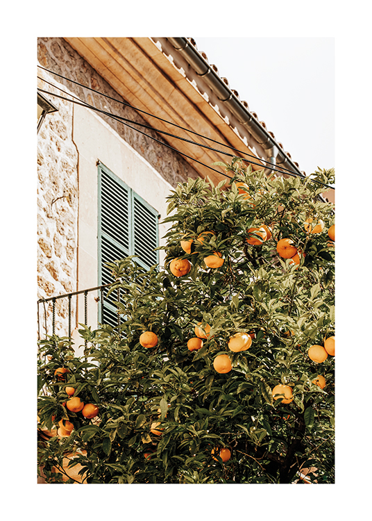  – An image of an orange tree next to a quaint Spanish house
