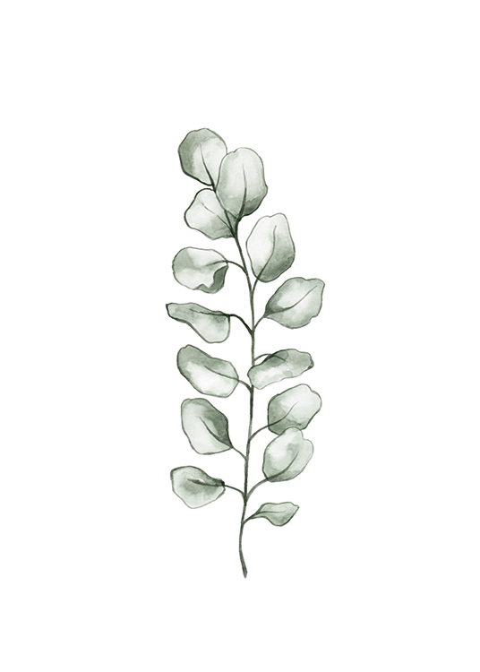 – Illustration of an eucalyptus leaf in green watercolour on a white background