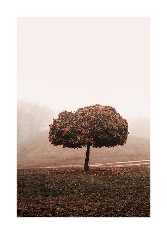  – Photograph of a misty field with a tree in the middle with a large tree top