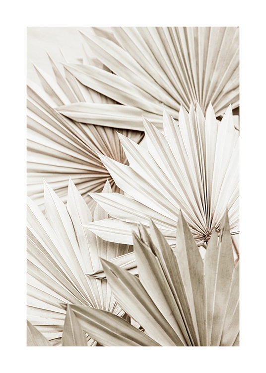  – Photograph of pleated palm leaves in white and grey laying across each other
