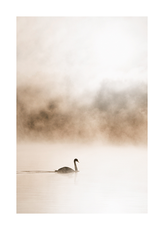  – Photograph of a foggy lake with a swan gliding on the water, against a beige background