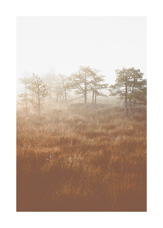  – Photograph of a foggy field with trees and a light sky in the background