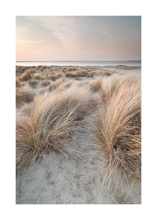  – Photograph of sand dunes with grass on them and a pastel sky and sea in the background