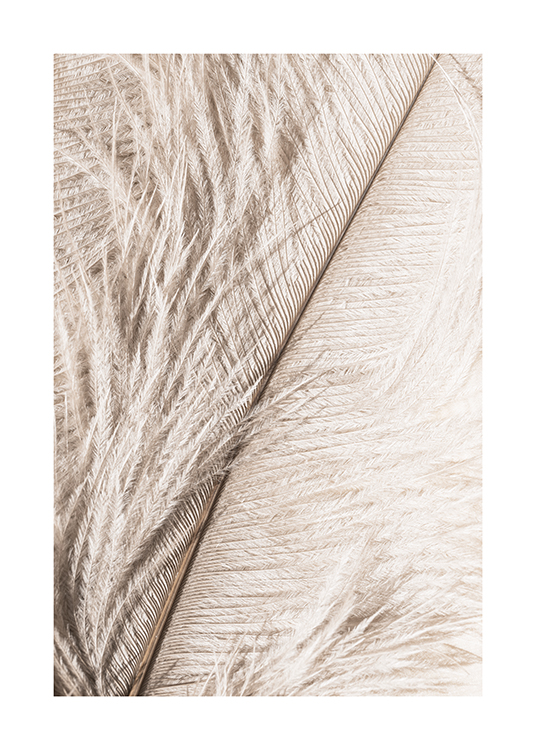 – A close up photograph of a feather in light beige