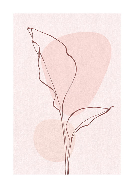 – Illustration with a line art leaf in pink against a pink background with two circles on it