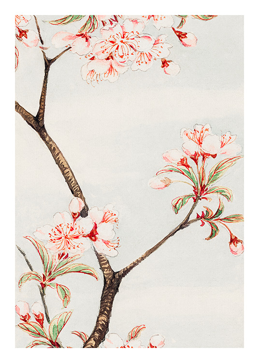 – Flower print in red and white