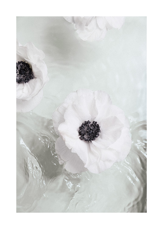 – White flowers in a bath tub