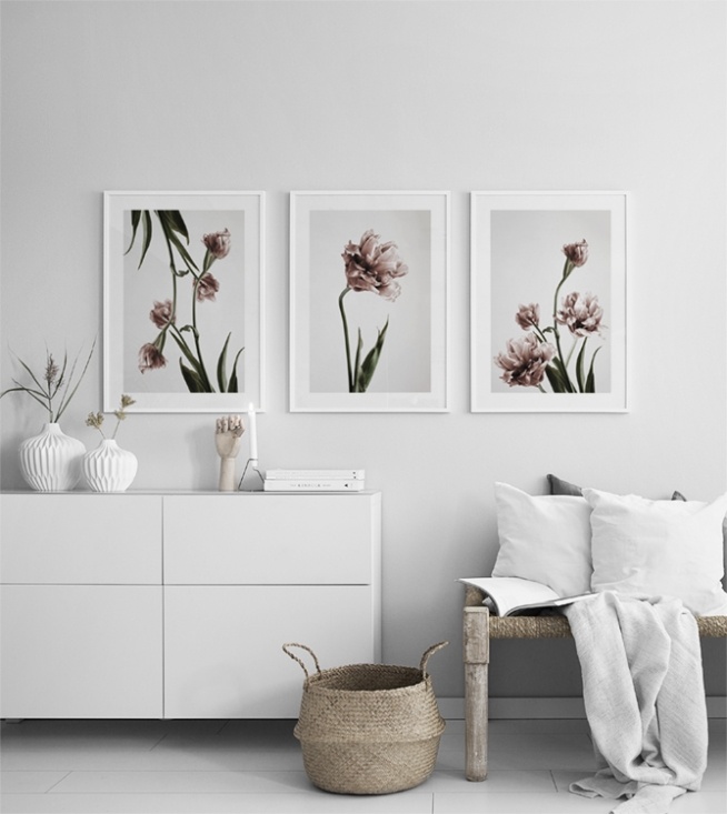  – Photograph of a bunch of pink tulips in full bloom against a grey background