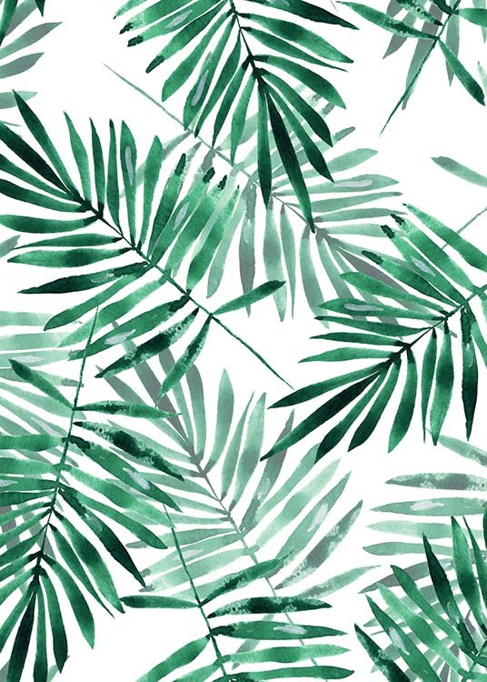  - Tropical art poster with dark-green palm leaves on a white background.