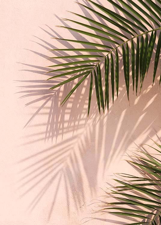 - Modern plant poster with palm leaves casting a shadow on a pink outside wall of a house.