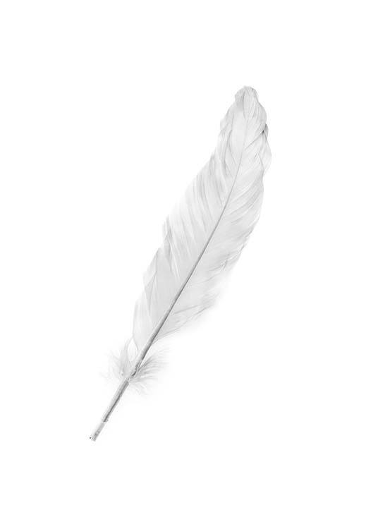 Image result for feather