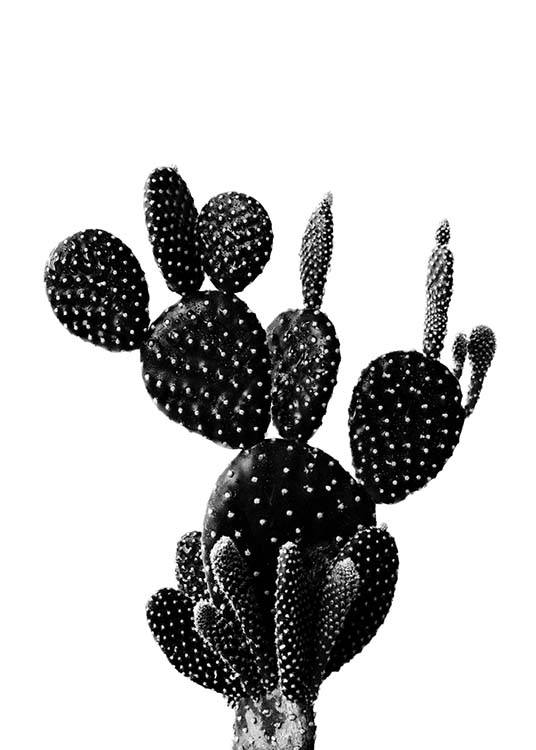 Black Cactus One Poster / Black & white at Desenio AB (2429)