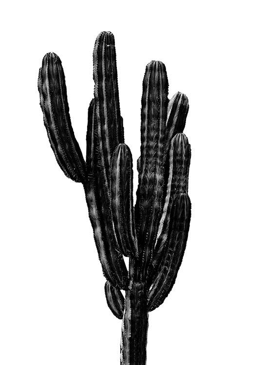 Black Cactus Three Poster