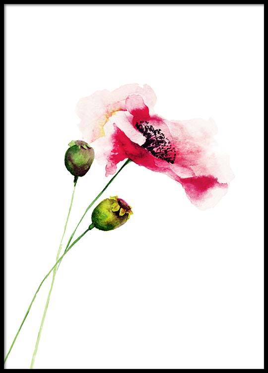 watercolor flower two poster