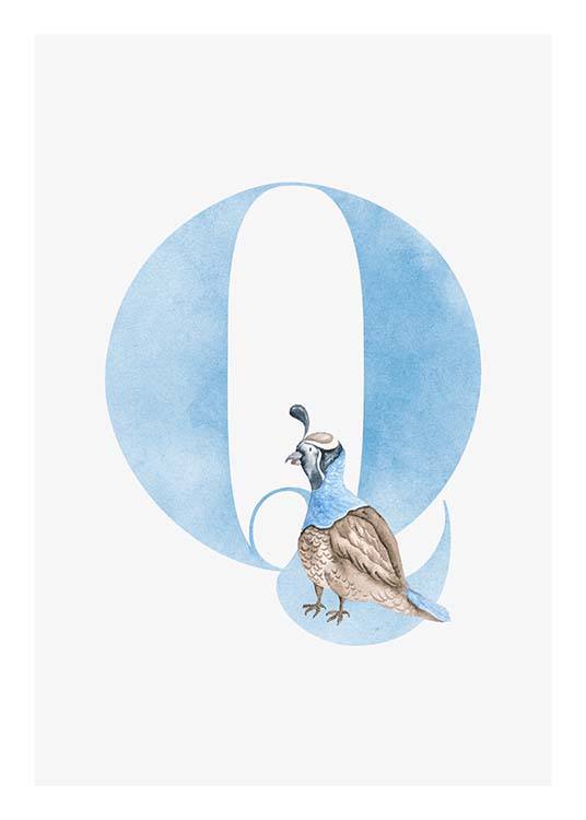  - Cute children’s poster for our loved ones whose name begins with Q.