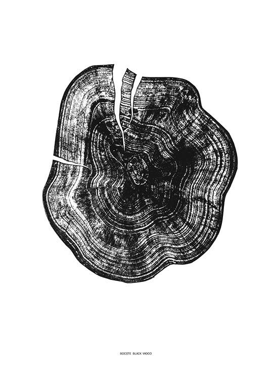  - Stylish illustration poster with a cross section of a tree in black and white.