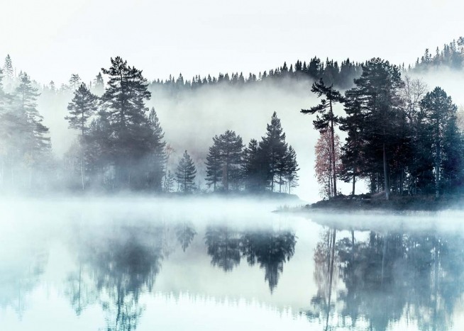 Foggy Lake Poster / Nature prints at Desenio AB (2720)
