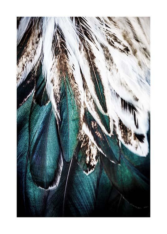 Green Feathers Poster / Photographs at Desenio AB (2732)