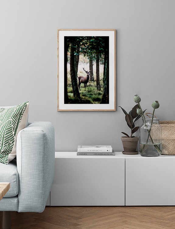Stag In Forest Poster
