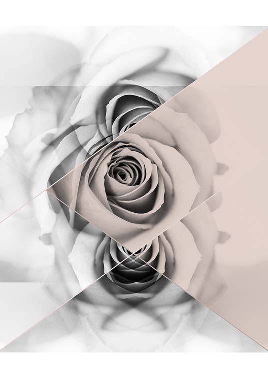 Graphic Rose Poster / Graphical at Desenio AB (2790)