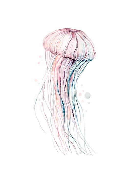 Aquarelle Jellyfish Poster / Animals at Desenio AB (2905)