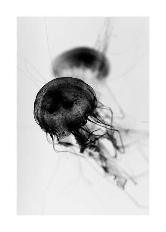 Floating Jelly Fish Poster / Black & white at Desenio AB (3104)