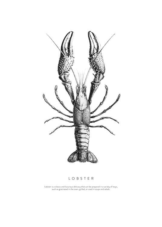 Lobster No1 Poster / Black & white at Desenio AB (3161)