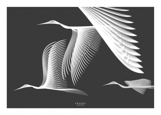 Cranes In Moiré Poster / Animals at Desenio AB (3223)