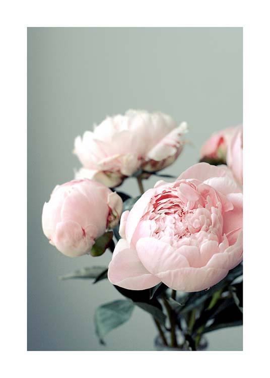 Pink Peonies On Green Poster / Photographs at Desenio AB (3268)