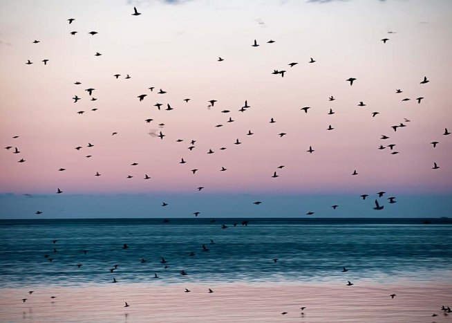 Birds At Dusk Poster / Nature prints at Desenio AB (3298)