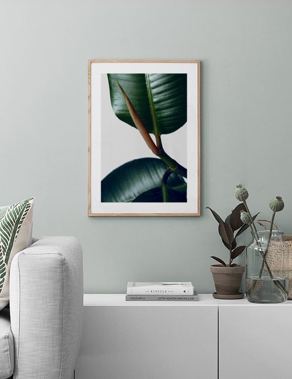 Rubber Plant Three Poster