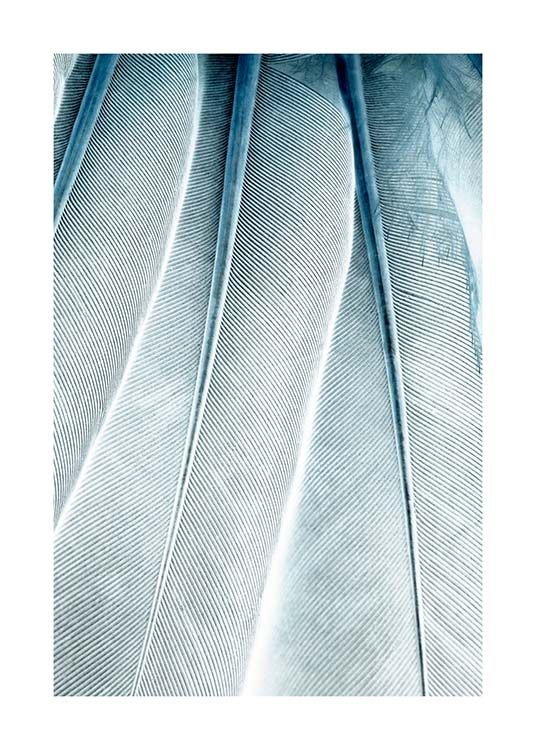 Feathers Close Up Poster / Photographs at Desenio AB (3539)